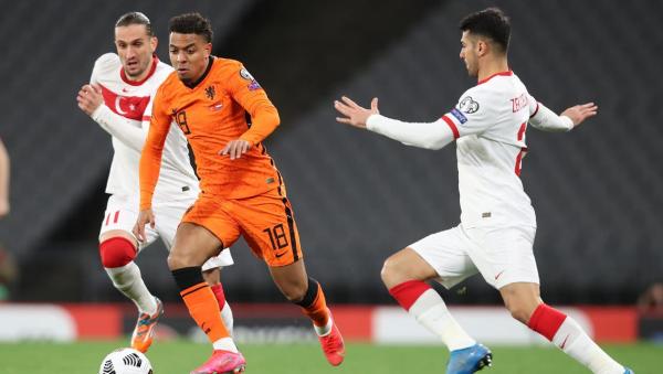 الجماهير الهولندية تطالب بمشاركة مالين أساسياً