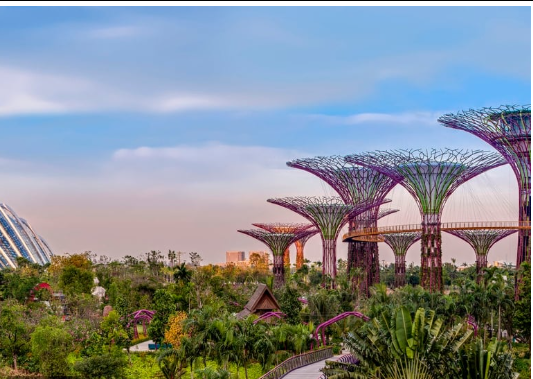 أفضل الوجهات الآمنة والممتعة للأطفال