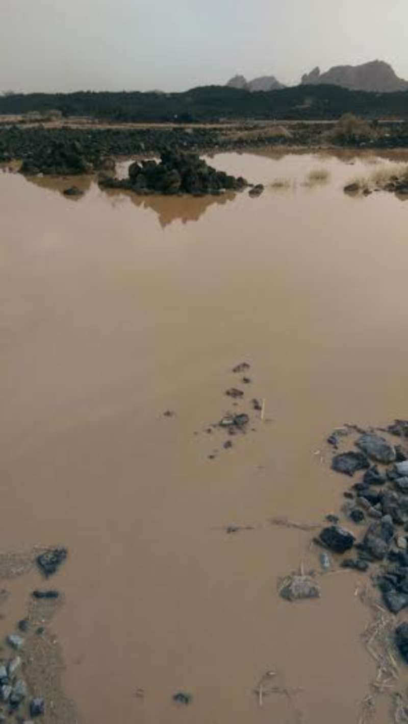 أمطار خفيفة إلى متوسطة على غرب العيص  ..  صور