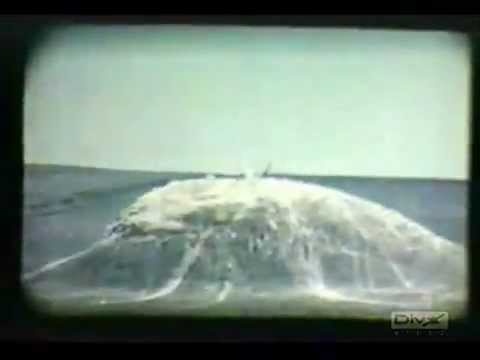 انظر لقوة انفجار قنبله نوويه في جوف المحيط ( تجربه نوويه)