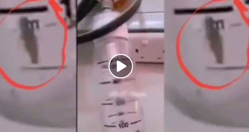بالفيديو  .. "صرصور" داخل جهاز تنفس باحد المستشفيات الحكومية يثير مواقع التواصل الاجتماعي 