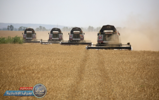 أسعار القمح ترتفع لأعلى مستوى في أكثر من 9 سنوات