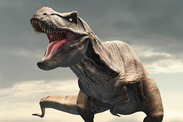 5 حقائق طريفة عن الديناصورات ستتعرف عليها لأول مرة
