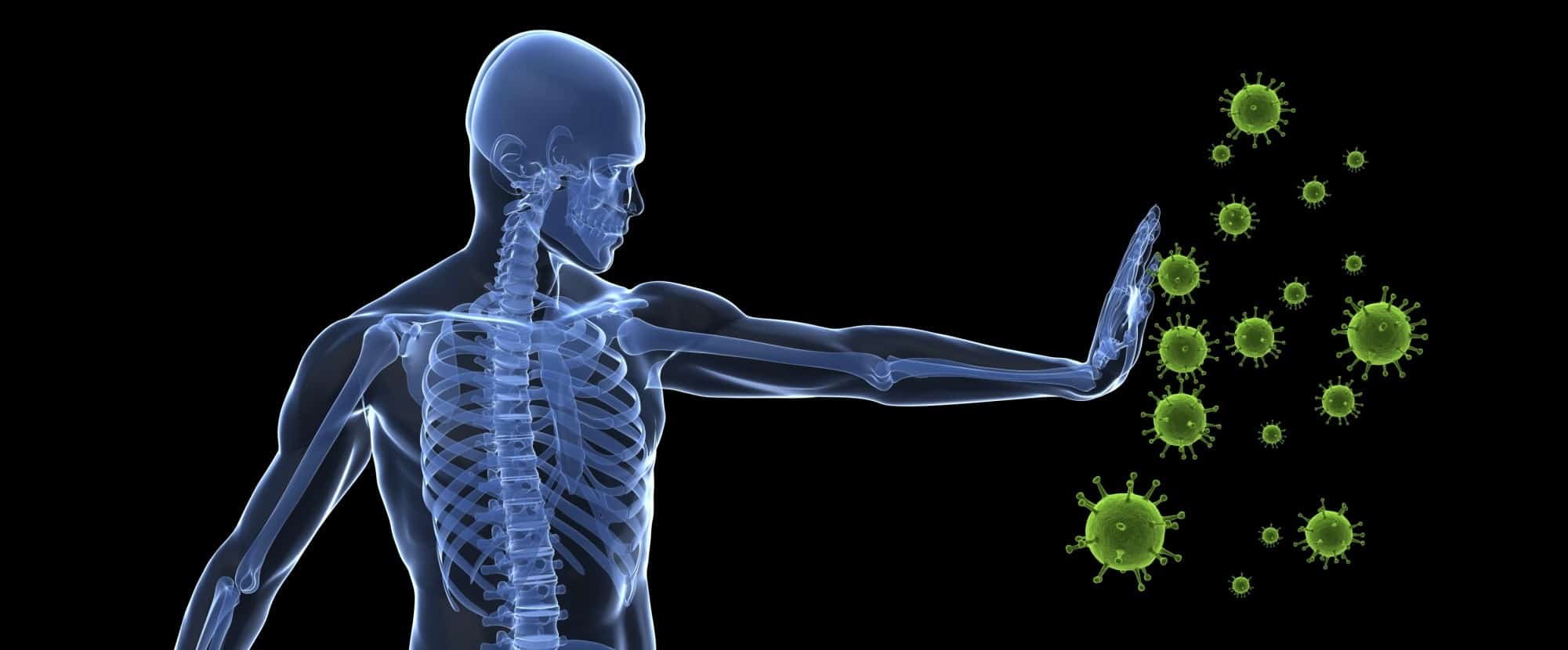 ما الذي يجب علينا تناوله لتقوية جهازنا المناعي؟