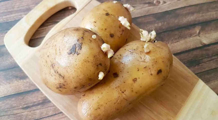 احذر البطاطا "المبرعمة" ..  سموم خفية لا يقضي عليها الطهي