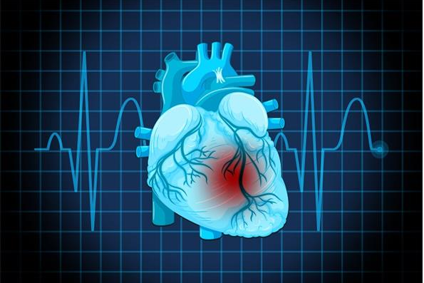معلومات تهمك ..  الأضرار الصحية للدهون المشبعة على صحة القلب