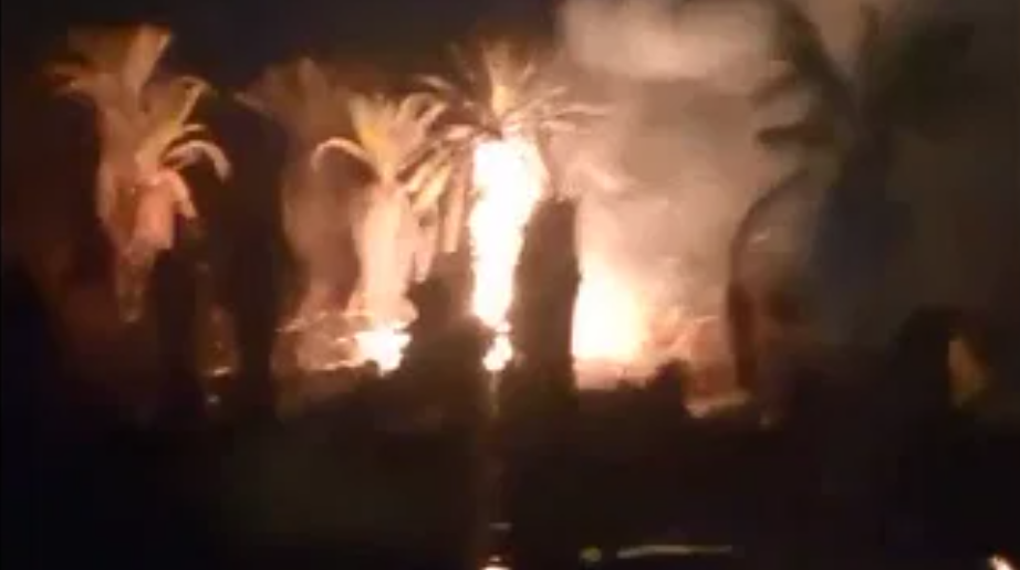 بالفيديو  ..  صاعقة تضرب مزرعة نخيل والدفاع المدني يدعو للحيطة والحذر