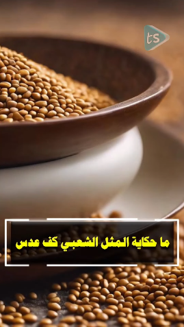 ما حكاية المثل الشعبي "كف عدس" - فيديو 