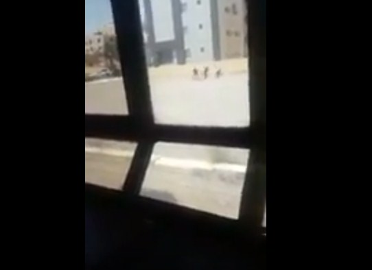 بالفيديو ..  لحظة اطلاق النار على طالب جامعي اثر مشاجرة قرب الجامعة الاردنية