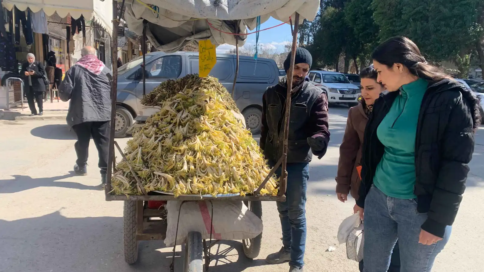 "السلبين البري" ..  عشبة الربيع السورية بفوائد لا تُقاوم 