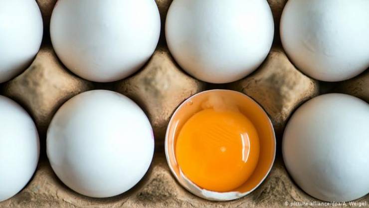6 أسباب تجعل البيض أكثر غذاء صحي على كوكب الأرض