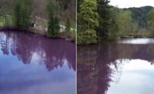 ما سر تحول بحيرة ألمانية إلى اللون الأرجواني؟