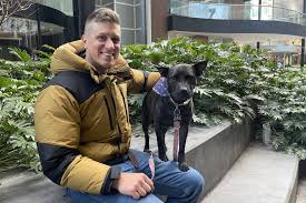 "تشات جي بي تي" يعالج كلبة من السرطان