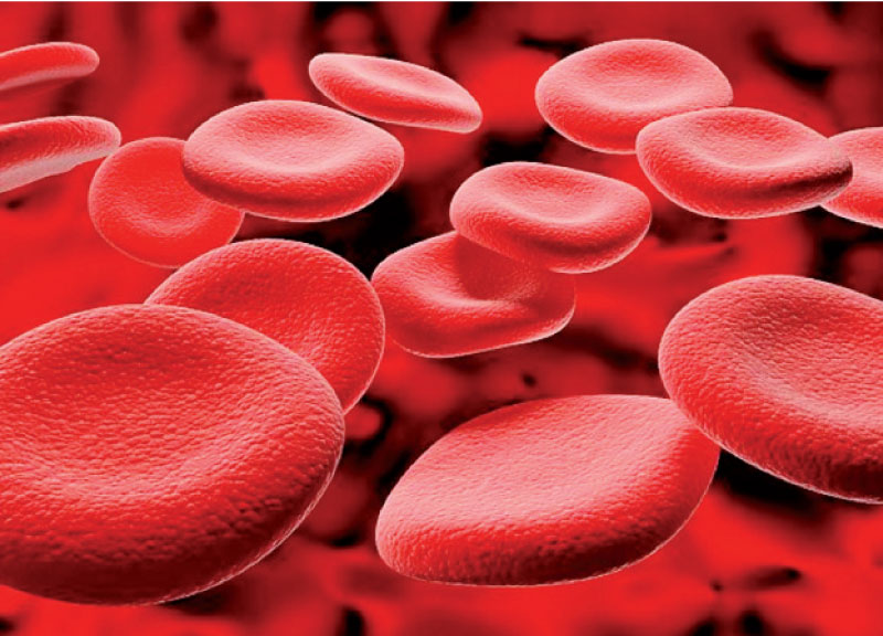 مرضى التلاسيميا: كلف مضاعفة وجهود متواضعة