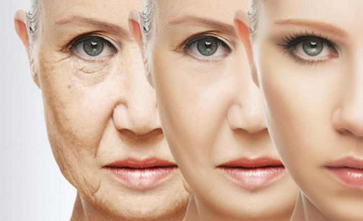 العلماء يكشفون سبب الشيخوخة المبكرة