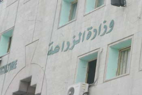 امام وزارة الزراعة 