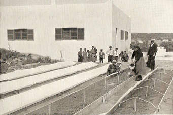 "شومان" تحتفي بكتاب "تاريخ المرأة الفلسطينية في عهد الانتداب البريطاني"