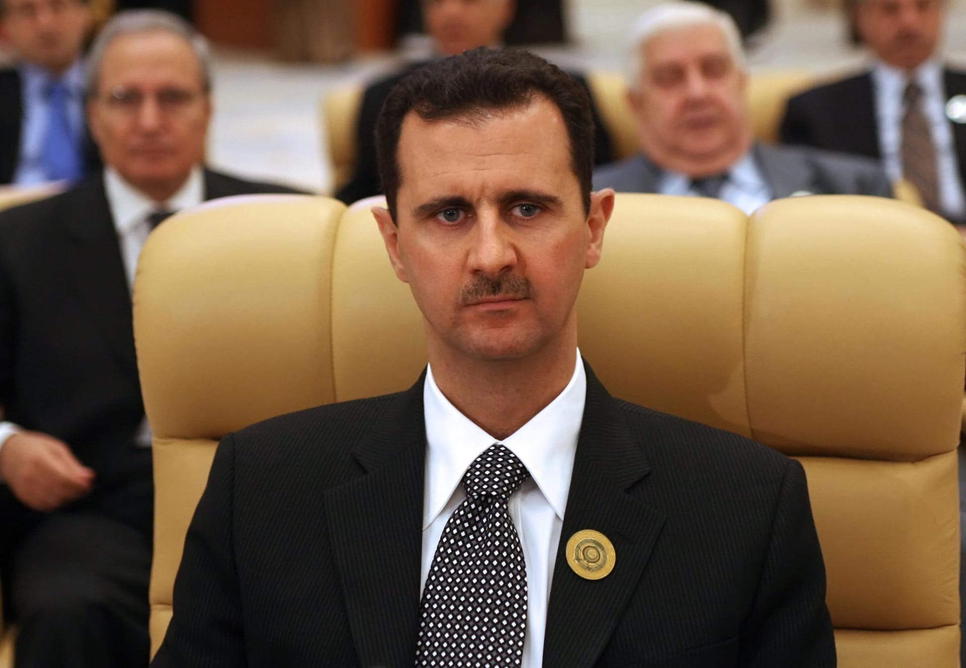 الأسد في طريقه إلى جدة 