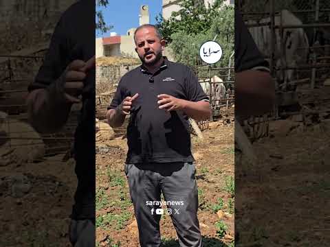 تعرّف على طريقة معرفة عمر الأضحية وشروطها