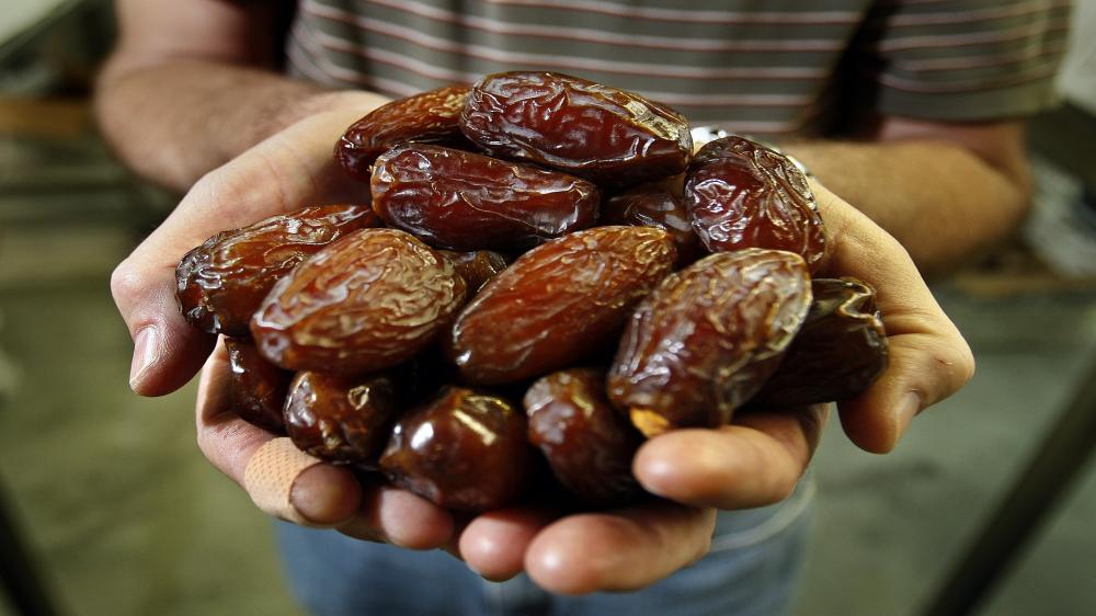 العلاقمة : الأردن من رواد إنتاج تمور المجهول على مستوى العالم 