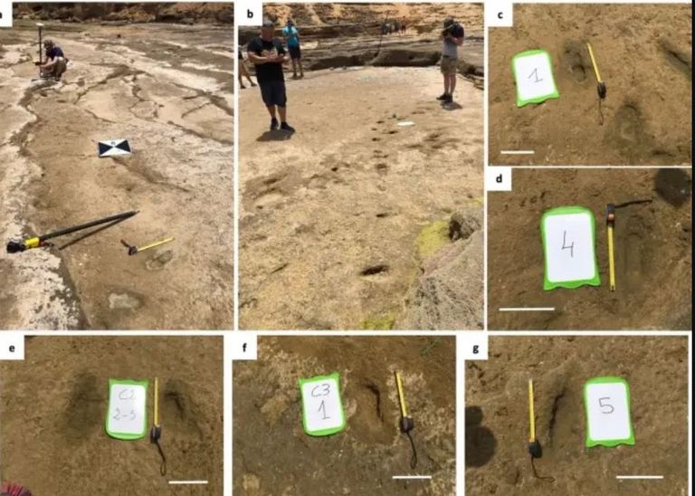 اكتشاف أقدم آثار للإنسان العاقل في شمال أفريقيا