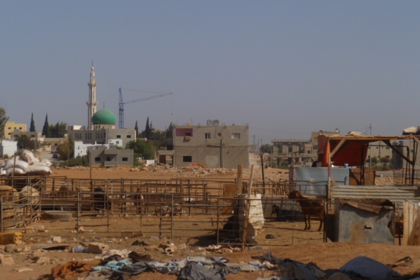 امام رئيس بلدية مادبا 