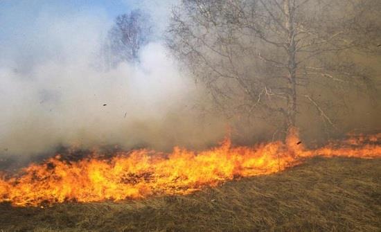 حريق يلتهم نحو 6 دونمات في ناعور 