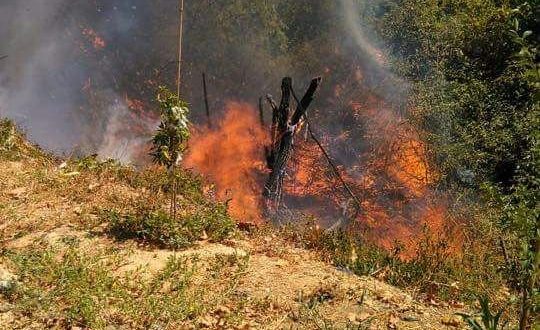 إخماد حريق أعشاب جافة ومحاصيل زراعية في المفرق