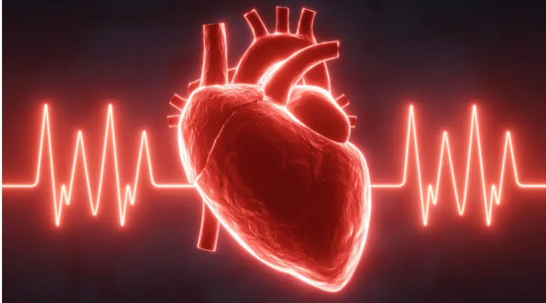 جيل مغناطيسي جديد قد يغير علاج اضطراب الرجفان الأذيني