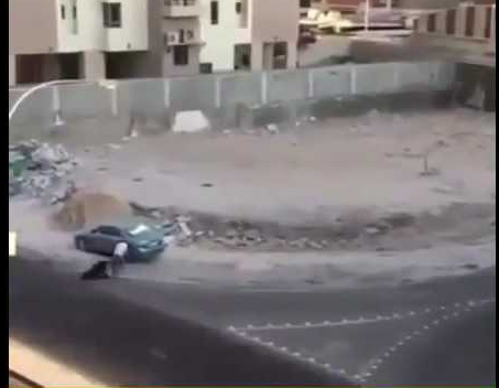 “فيديو”: حدث بالكويت ..  اعتدى عليها بالضرب ثم سرق حقيبتها وهرب