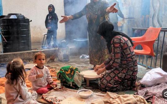 سكان غزة يواجهون المجاعة ويأكلون الصبار وعلف الحيوانات