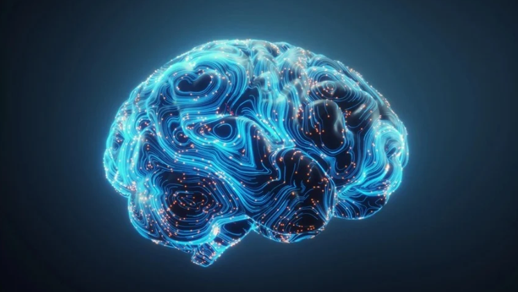 4 عادات يومية بسيطة تؤخر شيخوخة دماغك 8 سنوات