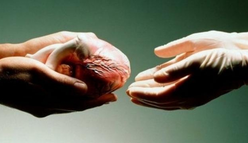  جمعية أردنية: قرابة 70 ألف شخص أوصوا بالتبرع بأعضائهم بعد وفاتهم