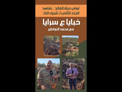 "هاي حياة الفلاح" .. شاهد الجزء الثاني لـ"شريك النار"