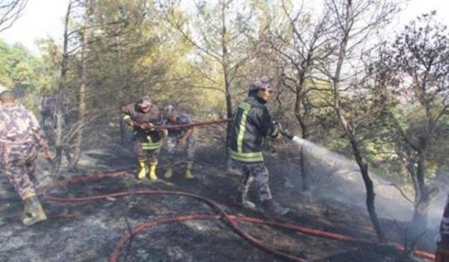 اخماد حريق أعشـاب جافـة في محافظة عجلون