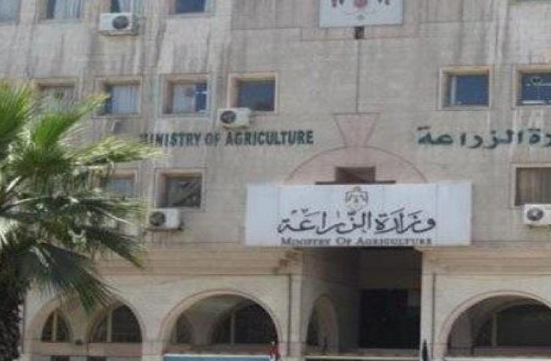 الزراعة تتسلم 22 ألف طن شعير و1239 طن قمح في إقليمي الشمال والوسط