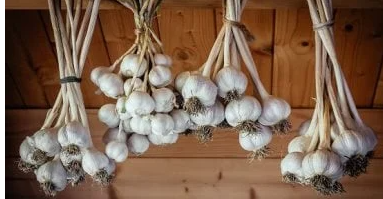 تسلا تقترب من إطلاق روبوتها البشري الجاهز للإنتاج أوبتيموس