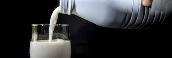 فوائد و أضرار الحليب الكامل الدسم