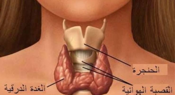 أقوى علاج طبيعي فعال لتضخم الغدة الدرقية في المنزل !