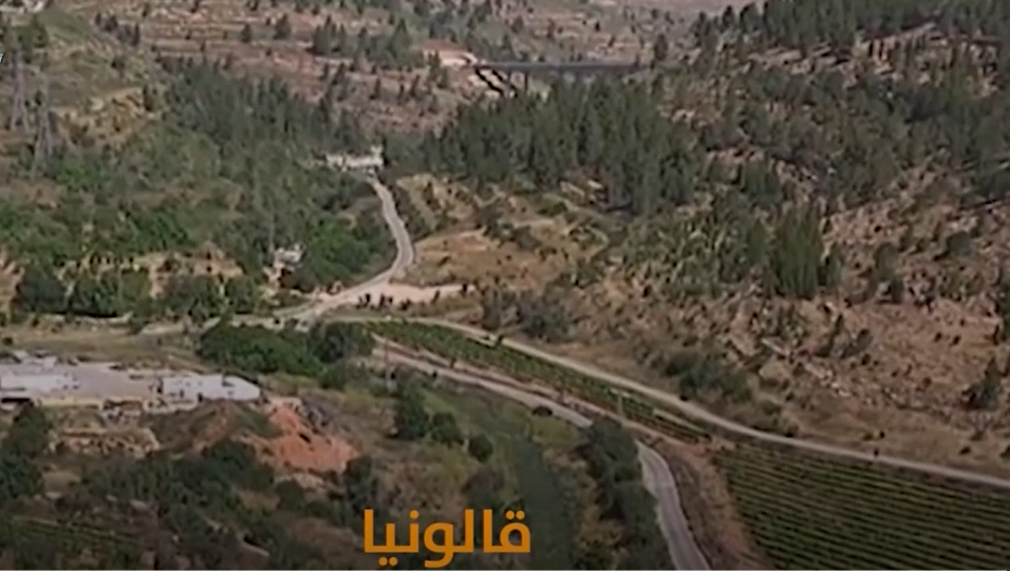 بالفيديو ..  تعرفوا على قرية قالونيا المهجرة - قضاء القدس