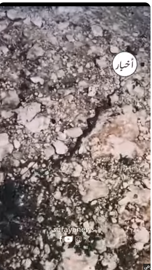 شاهد افعى فلسطين بجبال عجلون في المربعانية