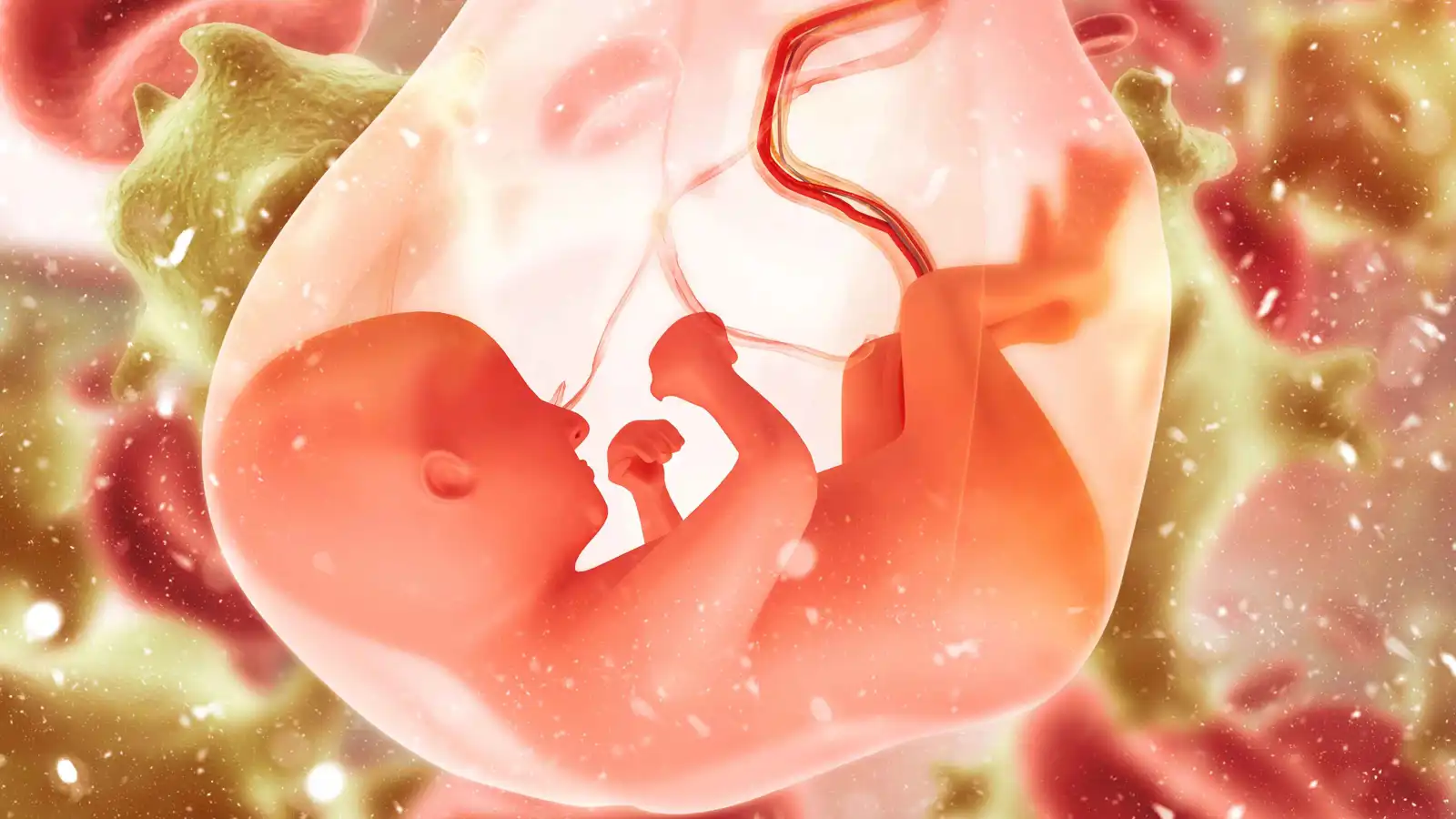 مؤشرات في المشيمة قد تتنبأ بالفصام قبل سنوات من ظهوره 