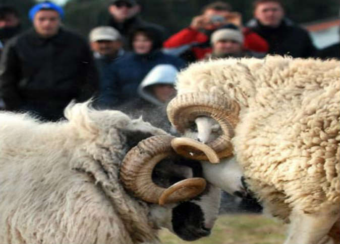 بالصور ..  أغرب وأبرز عادات 10 دول تحتفل بعيد الأضحى المبارك