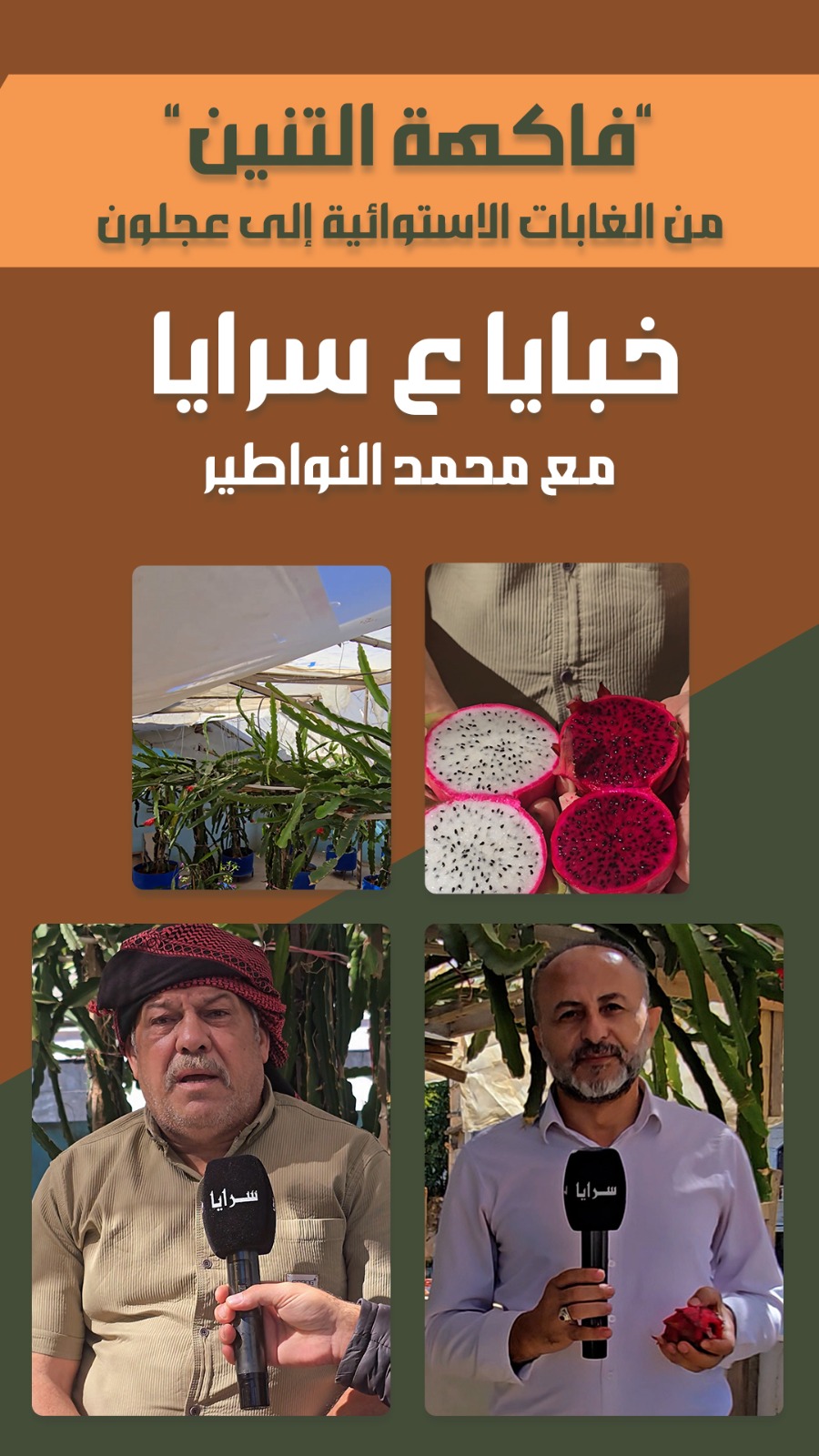"فاكهة التنين" من الغابات الاستوائية إلى عجلون  ..  فيديو 