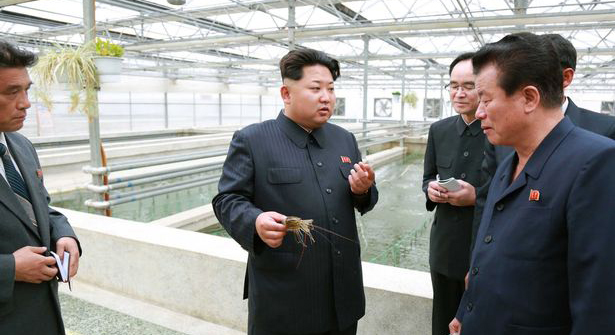 كوريا الشمالية: إعدام مسؤول بسبب نفوق عدد من السلاحف "جوعا"