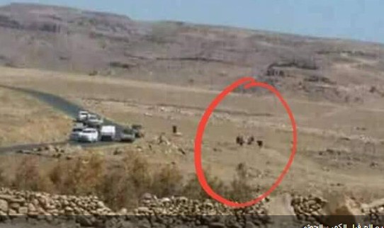 شاهد  ..  تفاصيل جديدة عن مقتل علي عبدالله صالح ..  أعدموه بـ30 رصاصة (صور وفيديو)‎