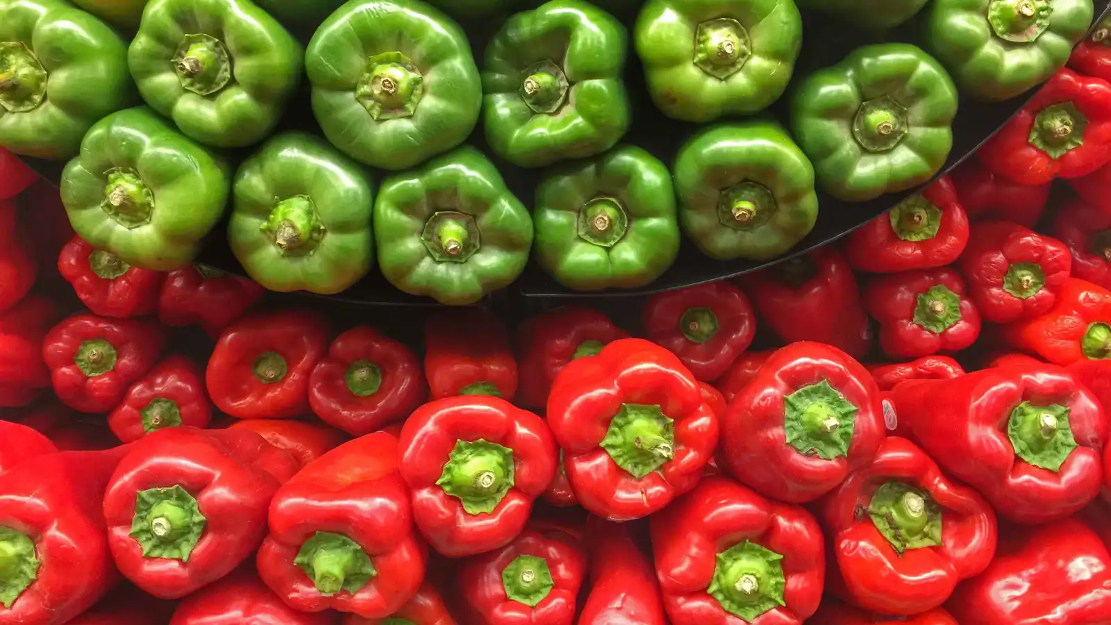 الفلفل الأحمر أم الأخضر ..  أيهما الأكثر فائدة صحيا؟ 