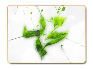 مقارنات بين رسول الله وإخوانه الأنبياء