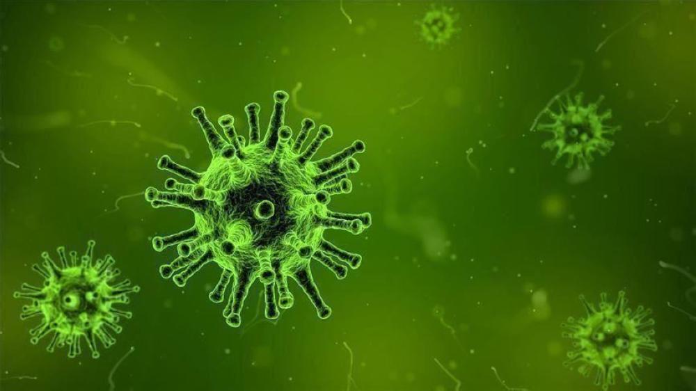عالم أوبئة: فيروس كورونا سيستمر طويلا