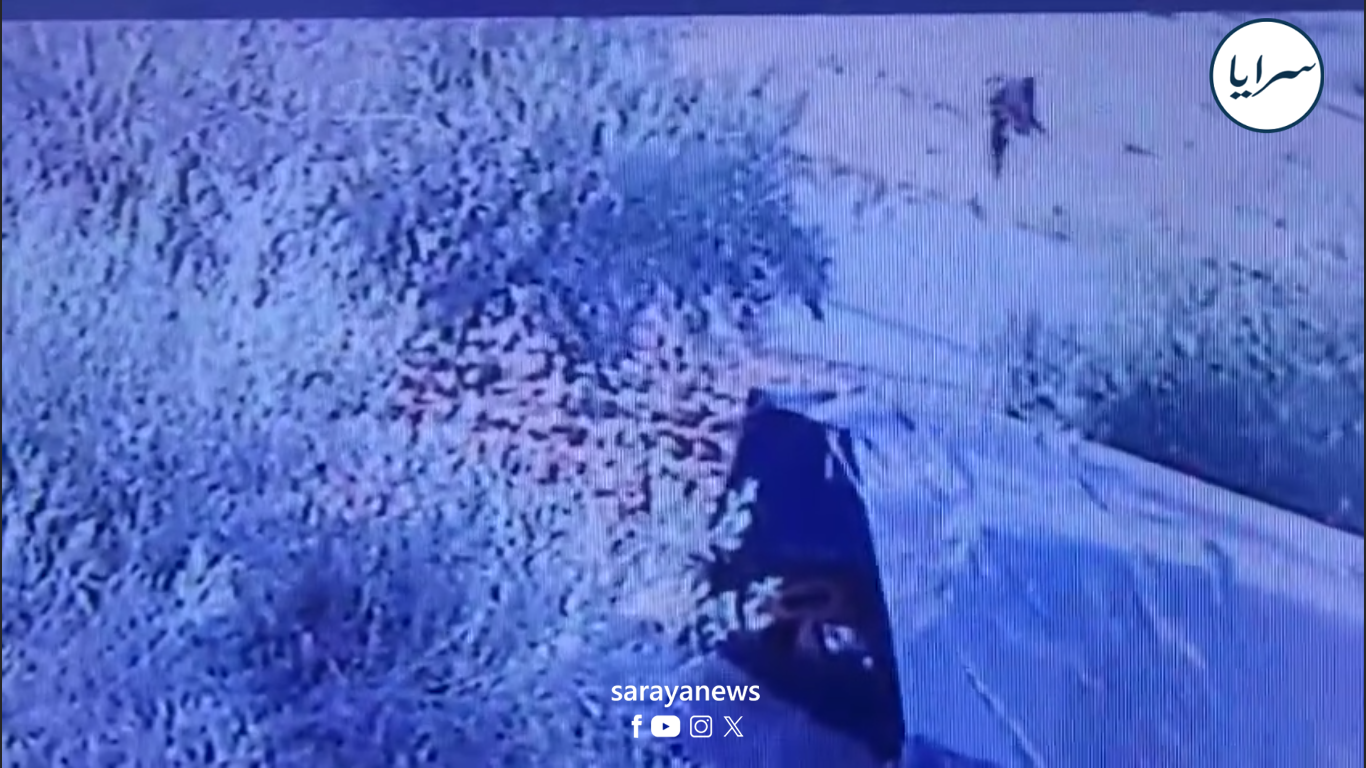 هجوم كلب ضال على فتاة في الرمثا يثير الذعر قرب دوّار الوكالة  ..  فيديو 